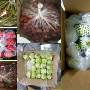 bao-quan-trai-cay-bang-tui-MAP