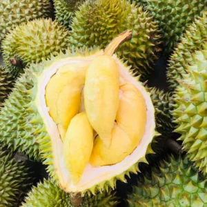 Sầu riêng Việt Nam bùng nổ xuất khẩu, thu về hơn 1 tỷ USD chỉ trong 2 tháng