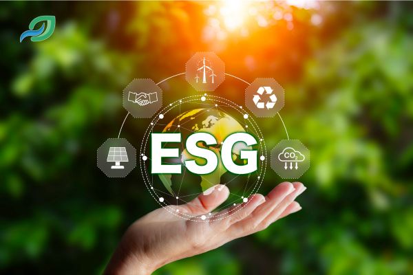 Giới thiệu về Công ty ESG - Đơn vị cung cấp các sản phẩm hỗ trợ vận chuyển uy tín