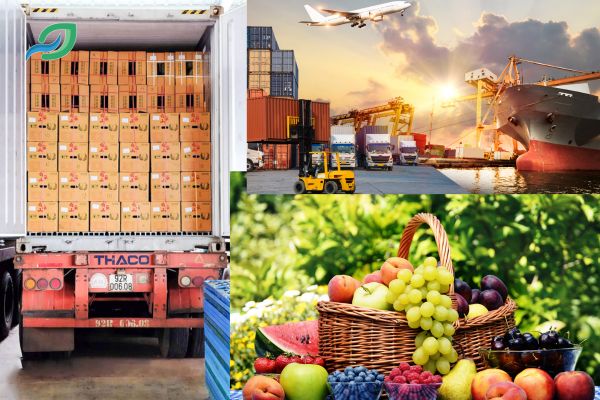 5 loại vật tư đóng gói bảo quản hàng nông sản trên container