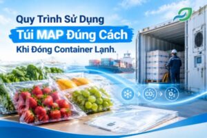Quy trình sử dụng túi MAP đúng cách trong đóng hàng container lạnh